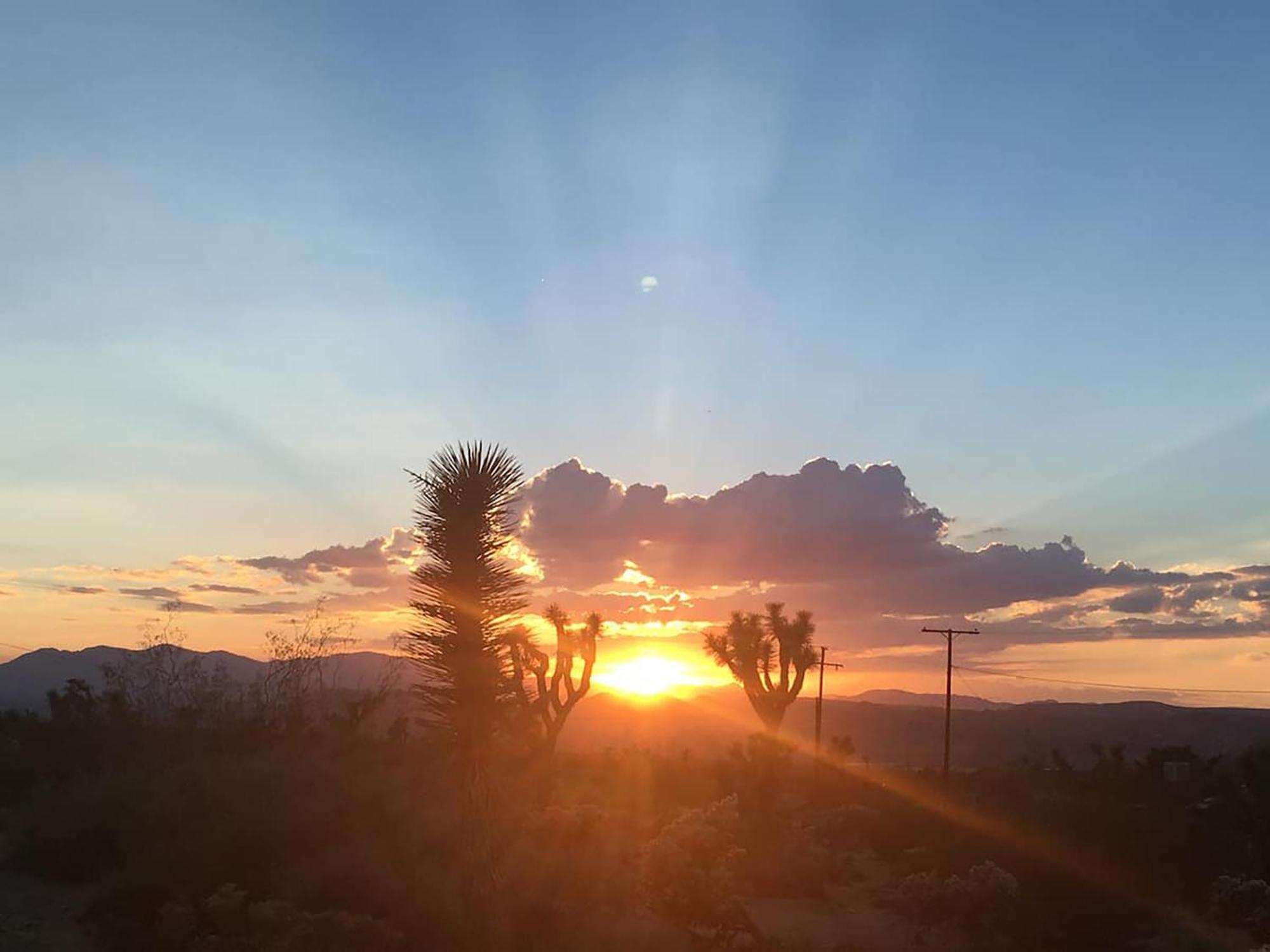 Electroliquid'S Casa Pueblo Joshua Tree 빌라 외부 사진